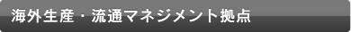 海外生産・流通マネジメント